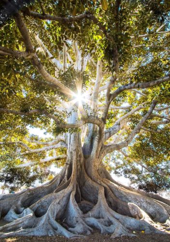 Meine Hoffnung & meine Freude