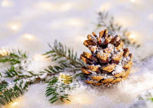 Alster-Karte Nr. 148: Weihnachtszeit