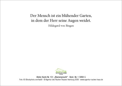 Alster-Karte Nr. 151: Blumenpracht mit Texteindruck
