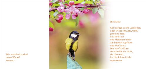 Faltkarte Herzliche Segensw�nsche zum Geburtstag (10 St.)