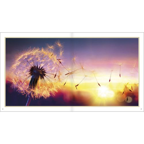 Nach dem Dunkel kommt ein neuer Morgen