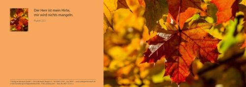 Herbstlaub mit individuellem Eindruck