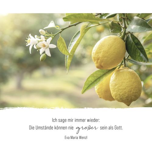 AugenBlicke - Aufstellbuch