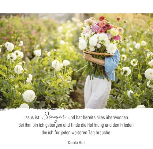 AugenBlicke - Aufstellbuch