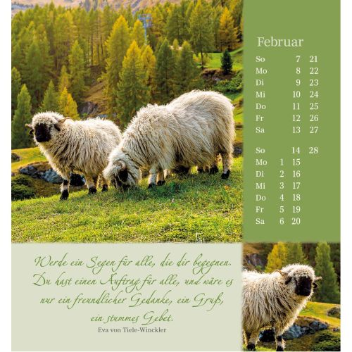 Sei beh�tet und geborgen 2027
