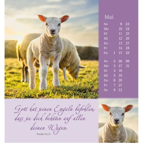 Sei beh�tet und geborgen 2027