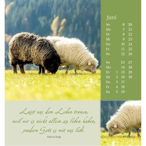 Sei beh�tet und geborgen 2027