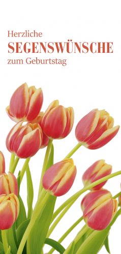 PC-Karte Herzliche Segenswnsche zum Geburtstag (10 St.), Motiv Tulpen