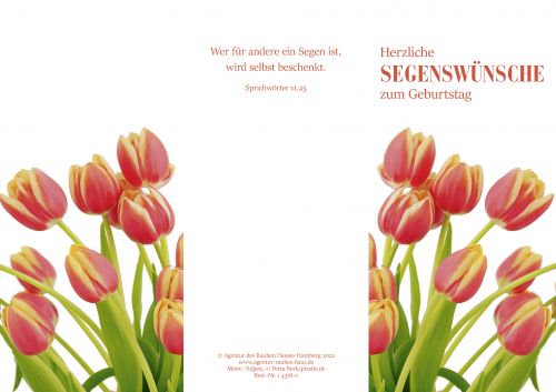 PC-Karte Herzliche Segenswnsche zum Geburtstag (10 St.), Motiv Tulpen