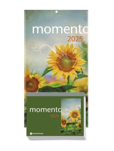 momento 2025 - Abreikalender mit Rckwand und Aufstellfu
