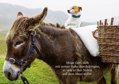 Irische Segenswnsche 2026