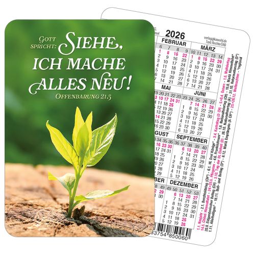 250 x Spielkarten-Kalender Jahreslosung 2026