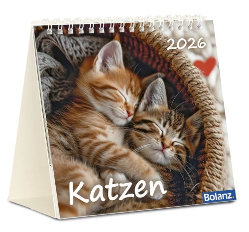 Katzen 2026 - Tischkalender