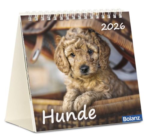 Hunde 2026 - Tischkalender