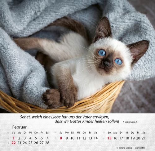 Hunde 2026 - Tischkalender
