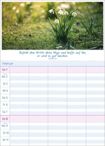 Multiplaner 2026 - Terminplaner