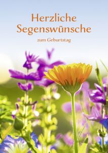 Faltkarte Herzliche Segensw�nsche zum Geburtstag (10 St.)