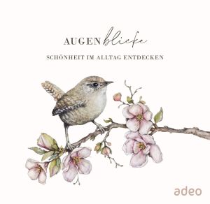 AugenBlicke - Aufstellbuch