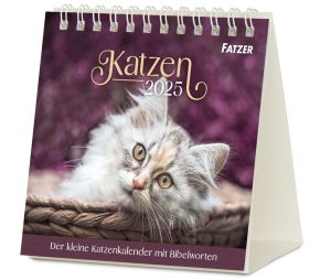 Katzen - Tischkalender 2025