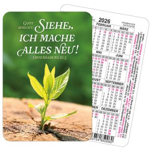 250 x Spielkarten-Kalender Jahreslosung 2026
