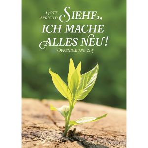 100 x Gott spricht: Siehe, ich mache alles neu! Postkarten A6 mit Foto-Jahreslosungs-Motiv