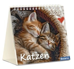 Katzen 2026 - Tischkalender